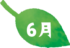 6月