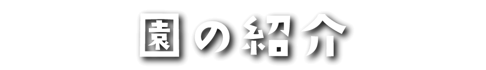 学校法人 鈴鹿学園の紹介