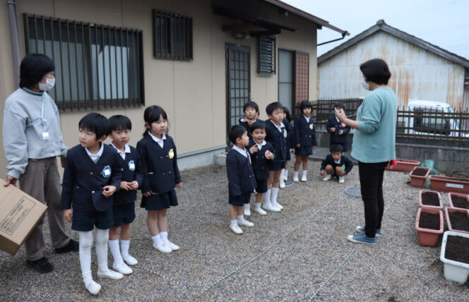 チューリップ