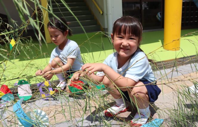 七夕の飾り付け🎋 (すずか幼稚園)