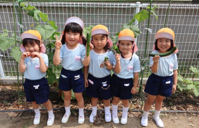 野菜の収穫🍆 (第２すずかきしおか幼稚園)
