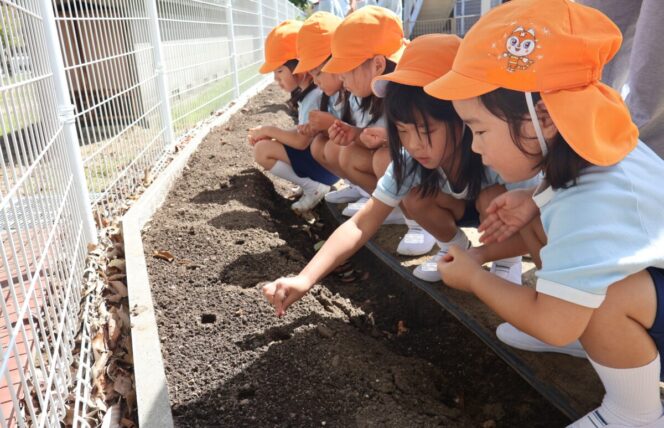 大根の種まき🌱 (第２すずかきしおか幼稚園)