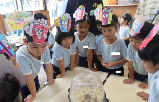ポップコーンまつり🍿 (すずか幼稚園)